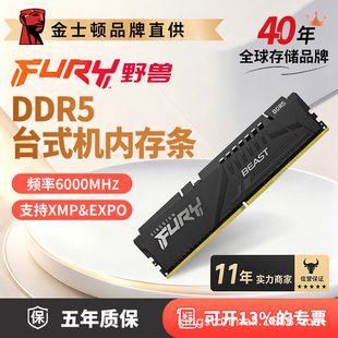 کینگستون DDR5 6000/6400 دسکتاپ سری Beast ارسال 48 ساعته
