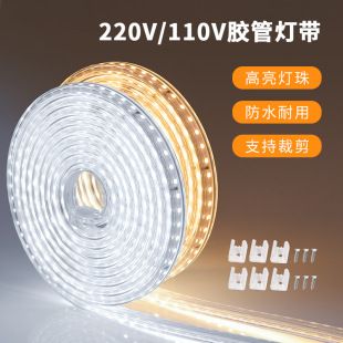 نوار LED 2835 با ولتاژ 110/220 ولت، 120 لامپ در متر، ضدآب برای دکوراسیون داخلی و خارجی