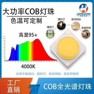 الایدی COB تمامطیف 6-60 وات با ولتاژ 36 ولت برای روشنایی تجاری