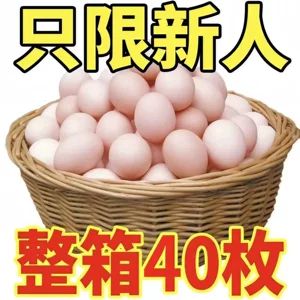 تخممرغ محلی تازه و ارگانیک (مخصوص دوران نقاهت و بارداری)
