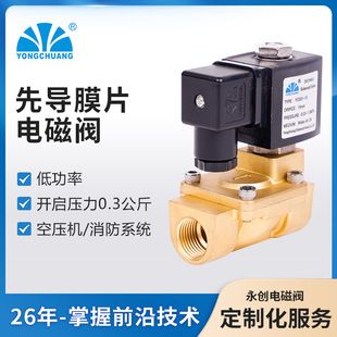 شیر برقی دیافراگمی یونگچوانگ YCD21