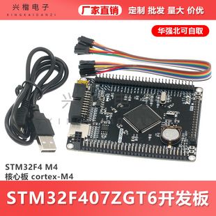 برد توسعه STM32F407ZGT6 با هسته M4