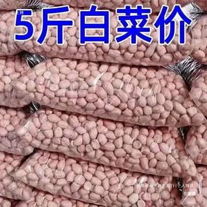 ۵ کیلو تخفیف ویژه - بادامزمینی تازه پوستکنده درشت مخصوص روغنگیری - بسته ۱۰ گرمی