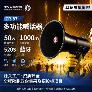 بلندگوی دستی بلوتوثی پرقدرت مدل CR-87