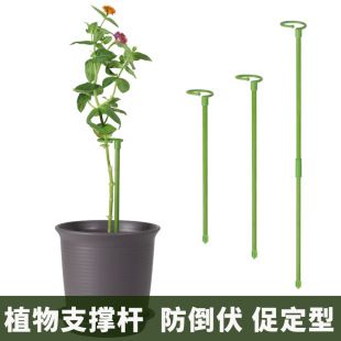 نگهدارنده گیاه تک‌ساقه ضد افتادگی، پایه ارکیده و پیچک، بسته ۴۸ ساعته