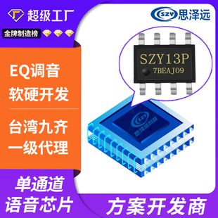 تراشه صوتی Nyquest NY4P005J تک‌کاناله با EQ