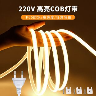 نوار LED COB 220 ولت ضدآب برای فضای باز و داخلی با دوشاخه اروپایی