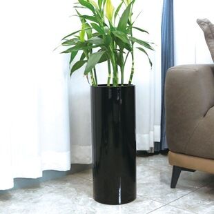 تزئینات ضخیم شده اتاق نشیمن، گل آرایی، گل های خشک، گلدان های شیشه ای، لوله صاف شفاف، اژدهای بامبو غنی شده هیدروپونیک، بید، بید برفی، بطری کشت آب، دسته ای مخلوط، تحویل 48 ساعته