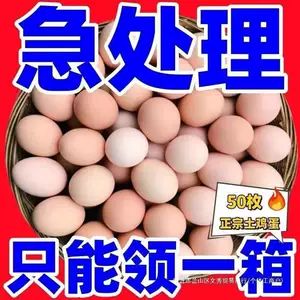 تخممرغ محلی تازه و درشت (بستهی کامل)