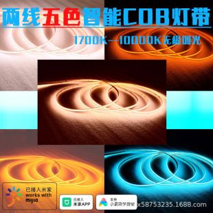 نوار نور هوشمند COB دو سیمه شیائومی با تنظیم بی‌پله رنگ