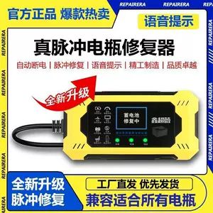 شارژر پالسی تعمیراتی جدید برای موتور برقی، پرقدرت، همراه با قطعکن خودکار و محافظ شارژ بیش از حد (12-96 ولت)