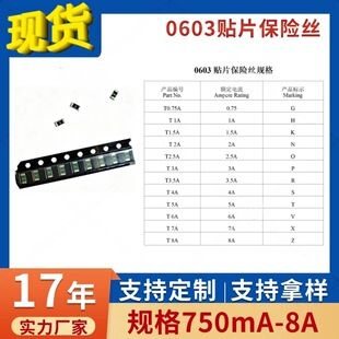 فیوز SMD 0603 TWS 1608 سریعالقطع