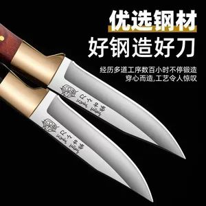 چاقوی کوچک مغولی، تیغهای فوقالعاده تیز، مناسب برای بریدن و جدا کردن گوشت، همراه با غلاف محافظ، قابل حمل برای کمپینگ و فضای باز