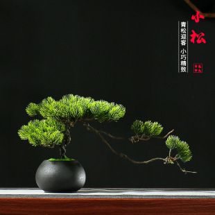 شبیه سازی شده با استقبال از کاج میز اداری بونسای اتاق چای Zen جدید به سبک چینی خزه پودوکارپوس درخت جعلی تزئینات گلدانی کوچک فروشگاه ما رتبه دوم را دارد