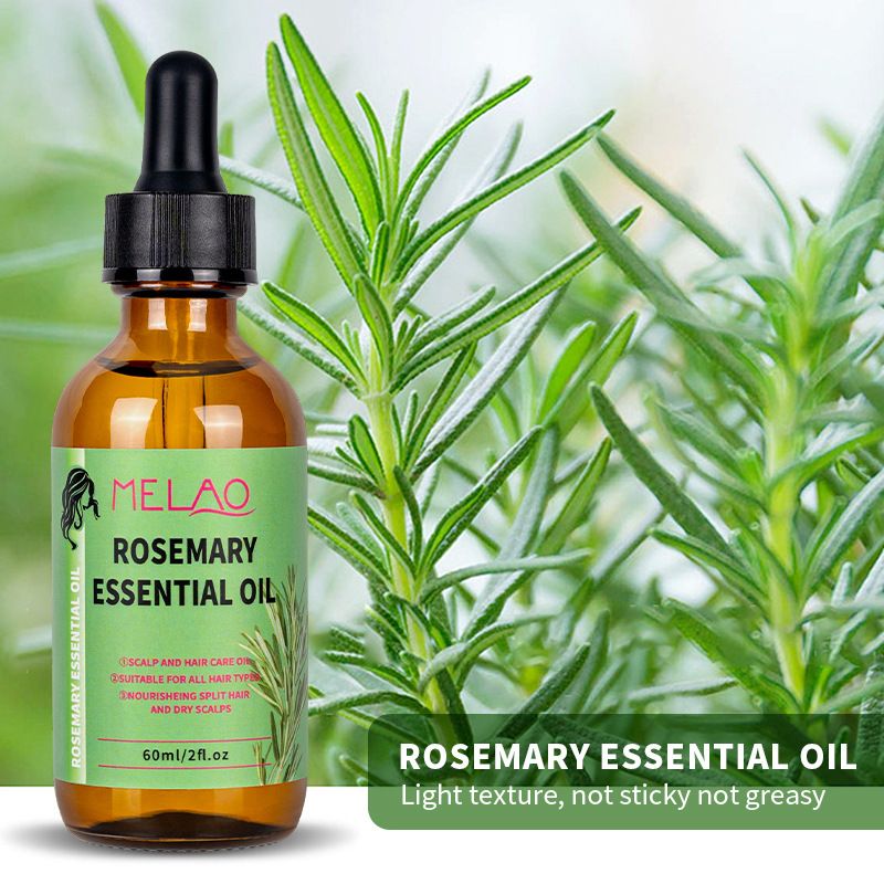 اسانس رزماری عمده فروشی مراقبت از مو روغن مو متراکم ترمیم پوست سر ریشه مو روغن رزماری روغن رزماری فرامرزی اسانس فروش TOP10%