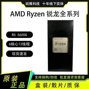 پردازنده AMD Ryzen 5 5600G با گرافیک مجتمع