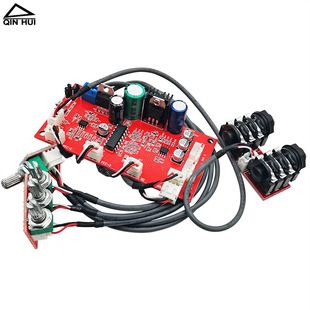 برد تقویت میکروفون CD2399 با اکو و ریورب قابل تنظیم