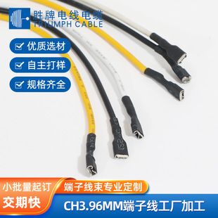سیم هارنس CH3.96mm تک و دو سر ترمینال برای چراغ خودرو و نمایشگر