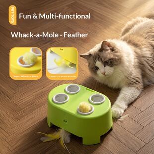 3-in-1 Cheese House Toy گربه هوشمند Whack-a-Mole Feather اسباب بازی بامزه گربه اسباب بازی بی حوصلگی حیوان خانگی تسکین مصنوعات فرامرزی فروش داغ