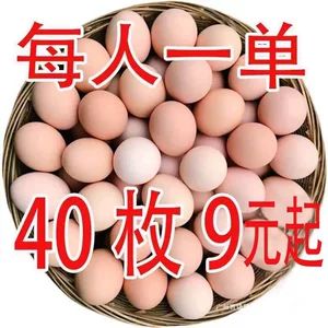تخممرغ محلی تازه (تغذیه شده با غلات و کرم) - مناسب دوران نقاهت و تغذیه مادر