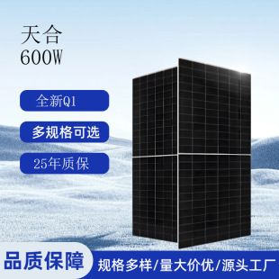 پنل خورشیدی دوطرفه Trina Solar مدل Q1 با تکنولوژی N-Type