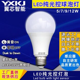 لامپ LED سنسور دار با کنترل نوری برای حیاط و باغ
