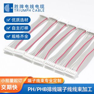 کابل اتصال ترمینال PH/PHB 2.0 میلی‌متری تک‌سر و دو سر