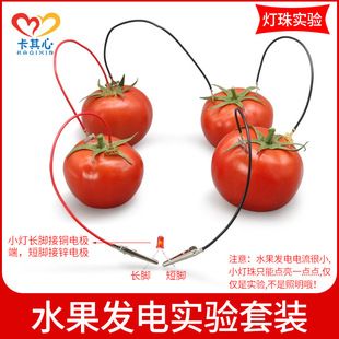 کیت آزمایش باتری میوهای با صفحات روی و مس