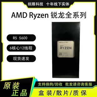 پردازنده AMD Ryzen 5 5600 شش هسته دوازده رشته