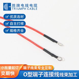 اتصال دهنده حلقه‌ای O نوع RV3.2/4.2/5.2/6.2 سیم اتصال باتری خودرو