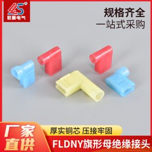 اتصال دهنده نیلونی مادگی پرچمی FLDNY سری 1.25/2/5-250 با عایق کامل