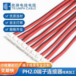 کابل ترمینال PH2.0 با کانکتور نر و ماده، اتصال باتری، سیم قرمز و مشکی