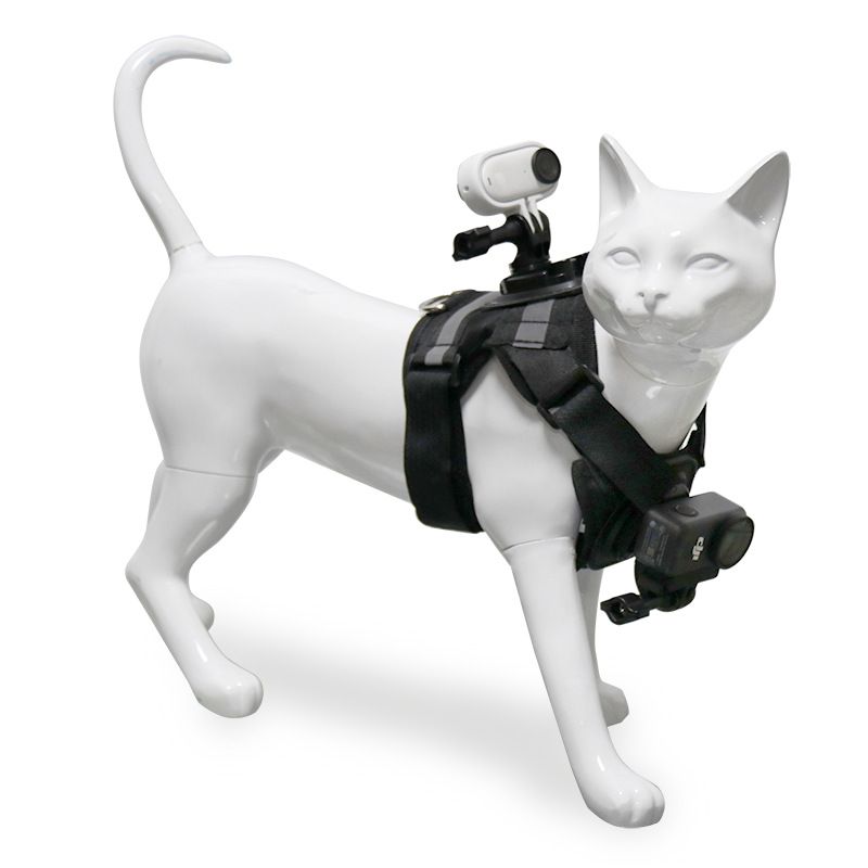 Shadowstone GO 3 Pet جلیقه عکس پایه دوربین DJI Sports Cat دوربین اول شخص دوگانه عکاسی دوربین ورزشی...فروش برتر 10%