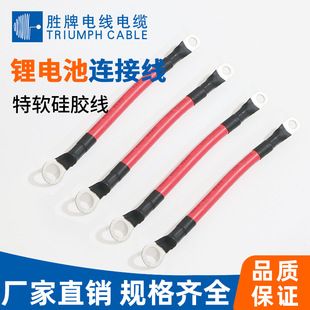 باتری لیتیومی کابل اتصال ذخیره انرژی ارسال ۴۸ ساعته