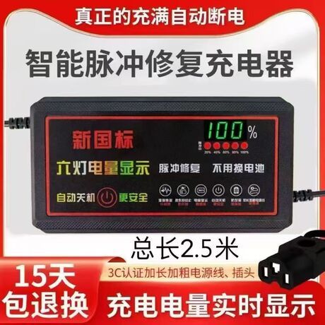شارژر پالس هوشمند پرقدرت موتورسیکلت برقی با کیفیت تضمینی