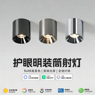 نورافکن روکار صنعتی باوهاوس نیکل ضدتابش